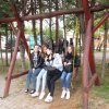 200-as Arany busz-kiállítás
